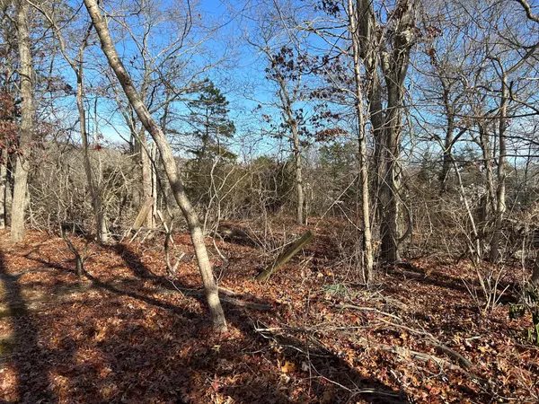 Eastport, NY 11941,267 Old Country RD
