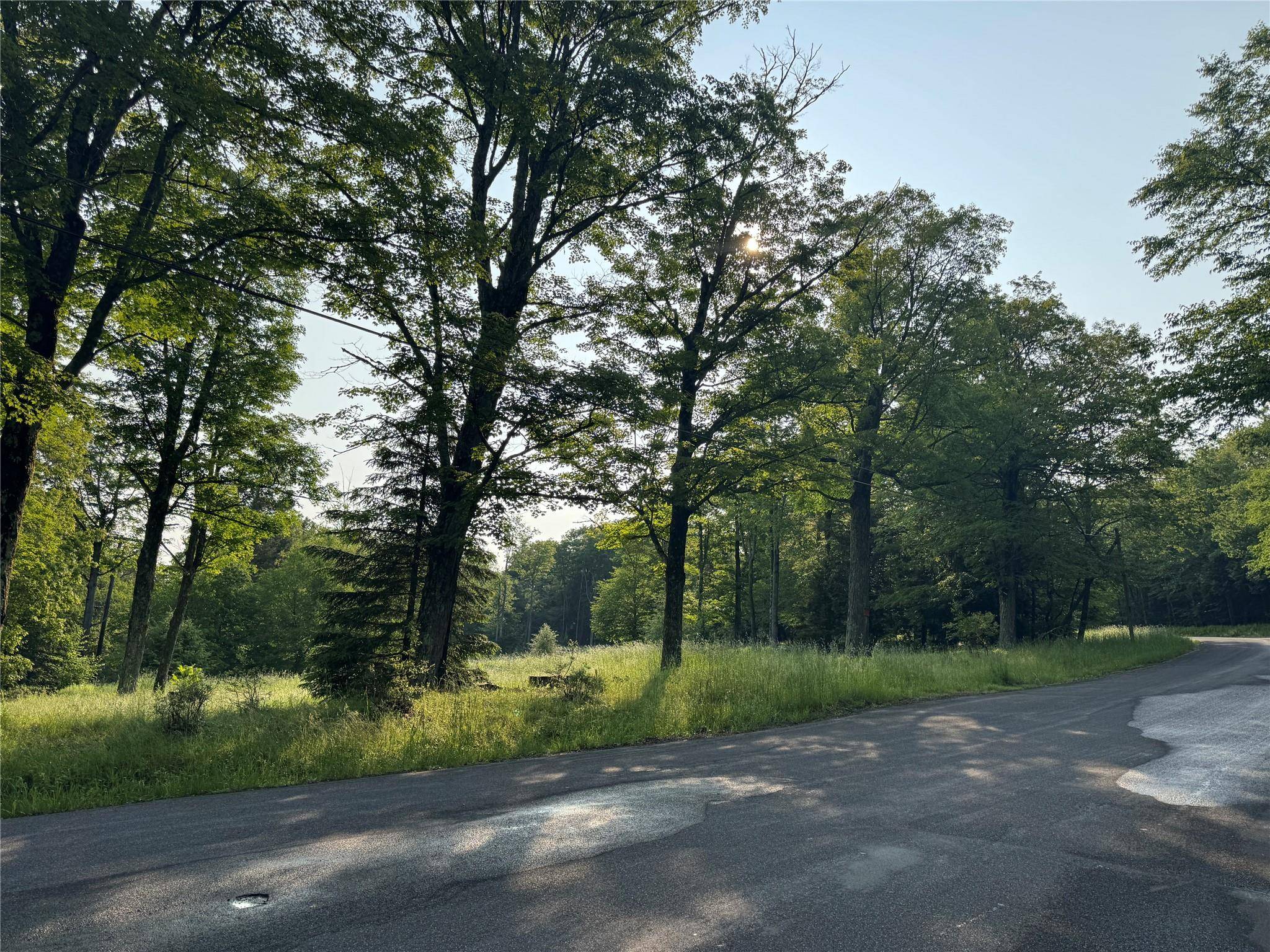 Parksville, NY 12768,7 Woodard RD