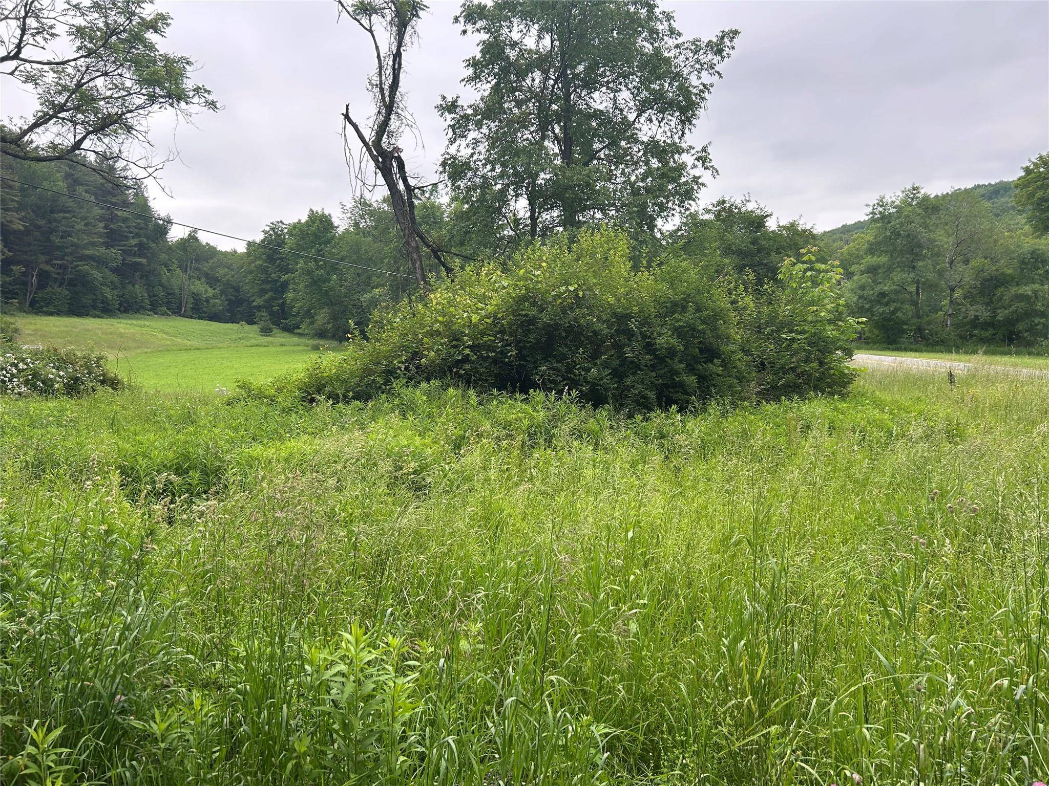Long Eddy, NY 12760,County Hwy 28