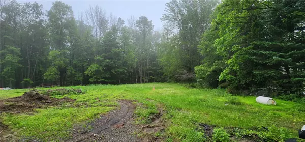 Port Jervis, NY 12771,127 Benneywater RD