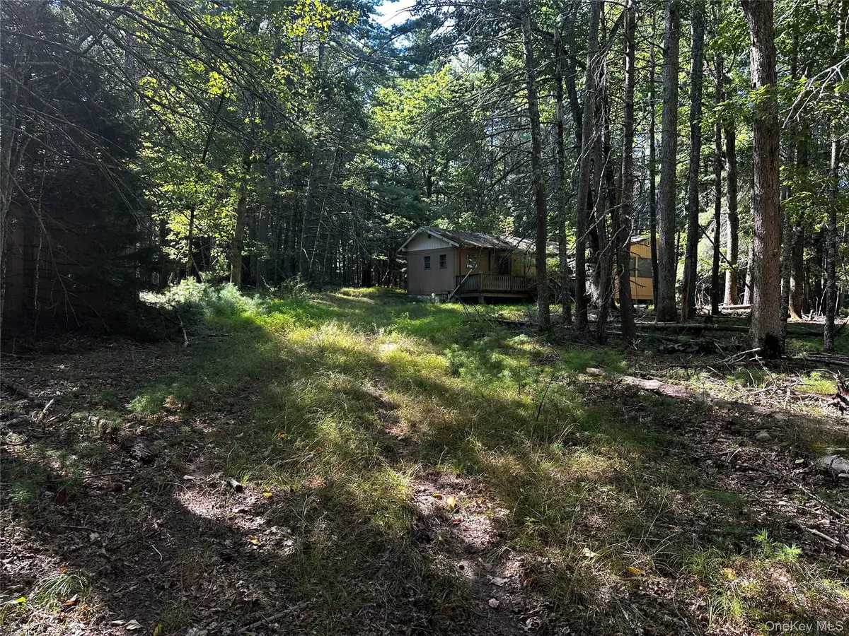 Barryville, NY 12719,8 Kern RD
