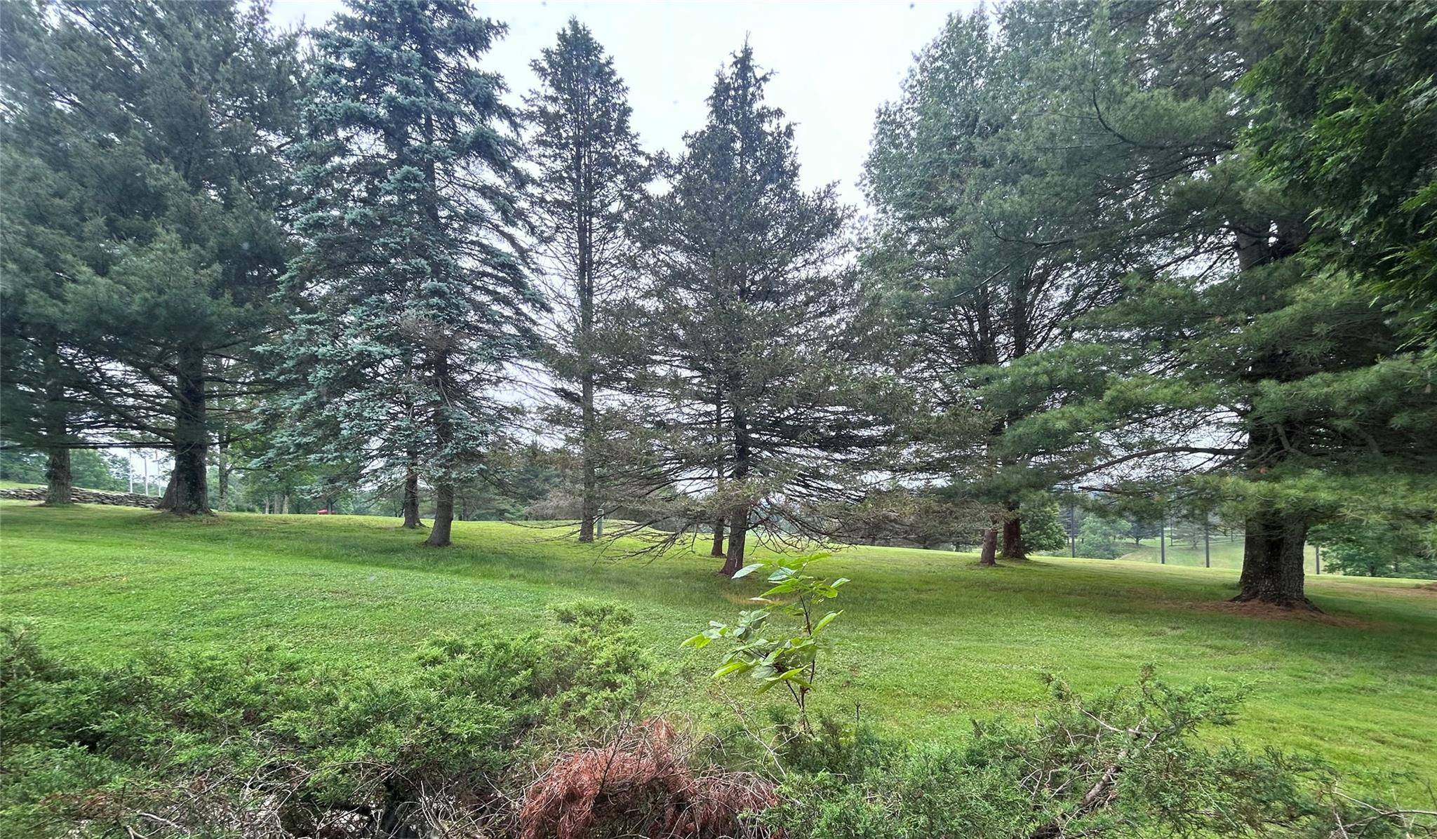 Callicoon, NY 12723,12 Joe D DR #12A