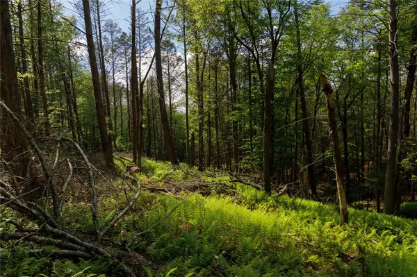 Neversink, NY 12788,650 Thunder Hill RD
