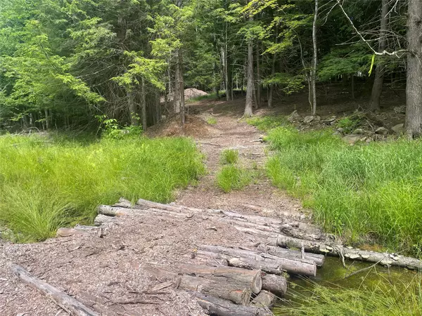 Windham, NY 12496,TBD Boulder Brook lot B12 RD