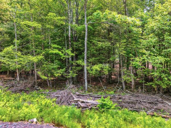 Windham, NY 12496,TBD Boulder Brook lot 13B RD