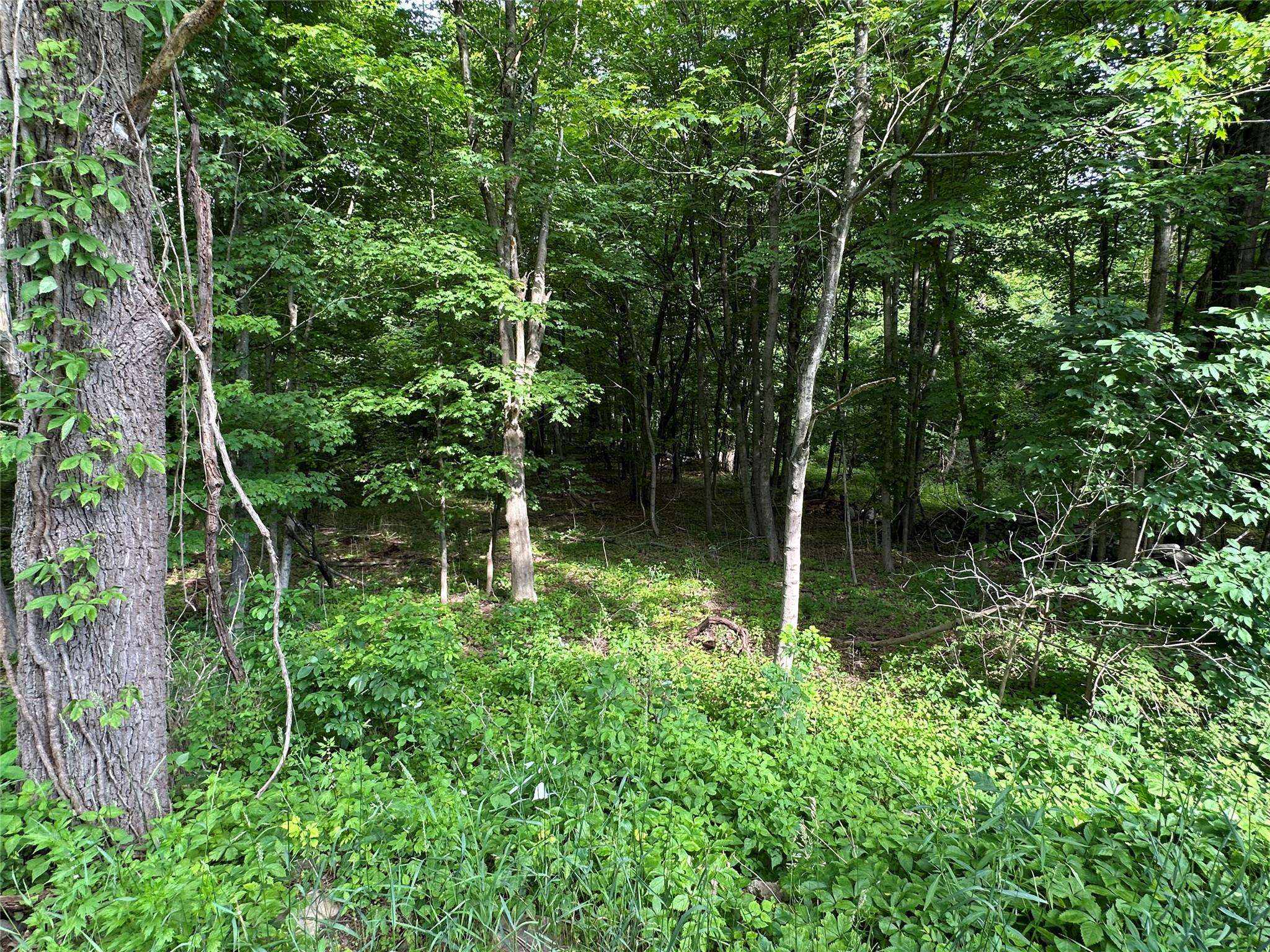 Plattekill, NY 12528,251 Fosler RD