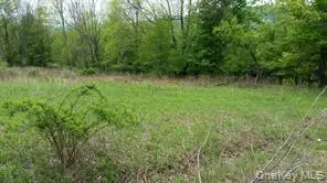 Youngsville, NY 12791,Hessinger Lare RD