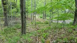 Youngsville, NY 12791,Hessinger Lare RD