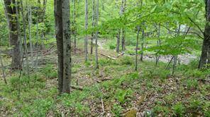 Youngsville, NY 12791,Hessinger Lare RD