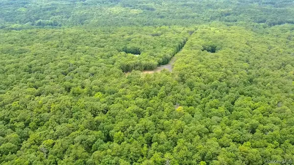 Earlton, NY 12051,11 Rock Hill RD