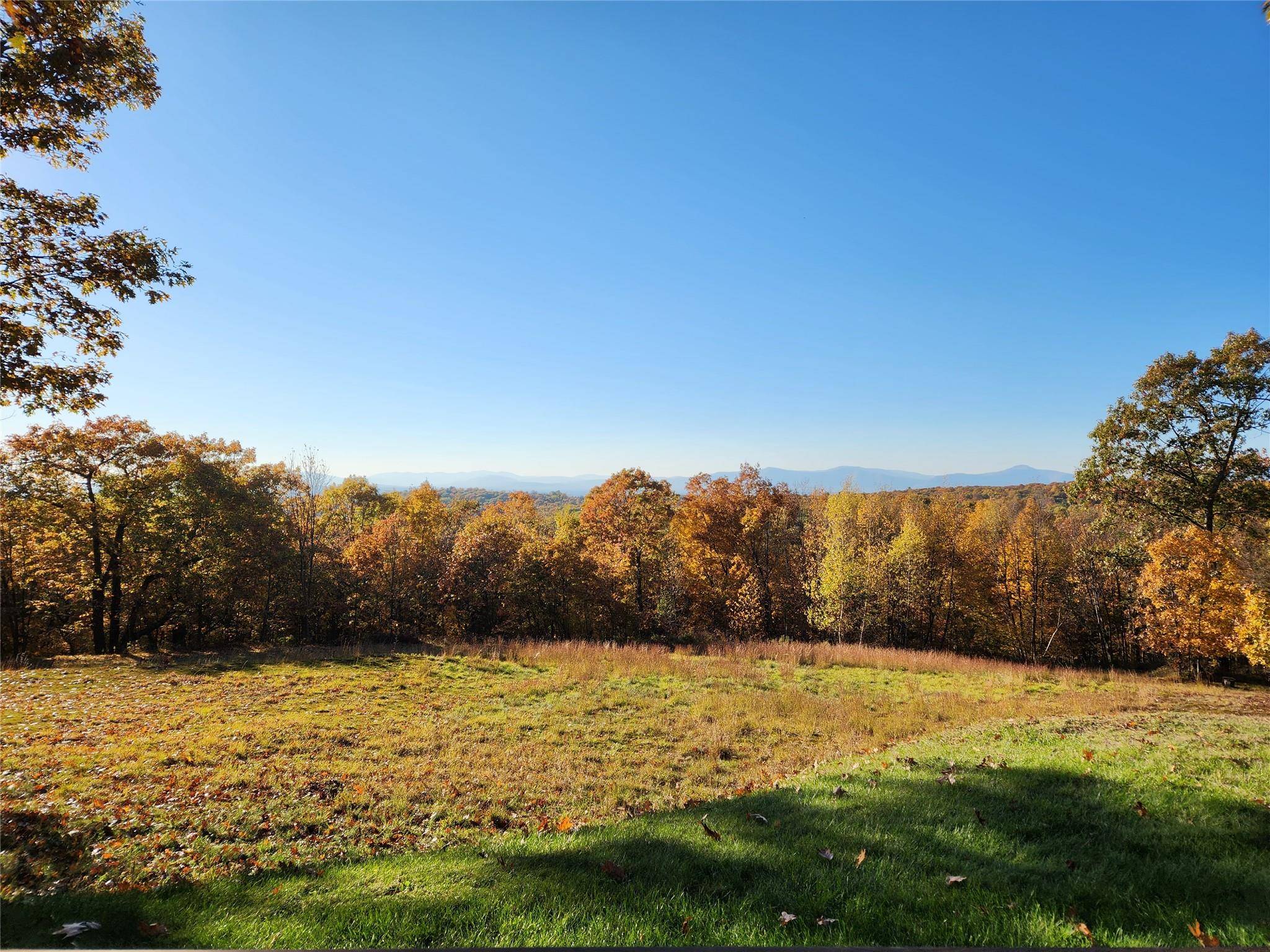Red Hook, NY 12571,Willow Glen RD