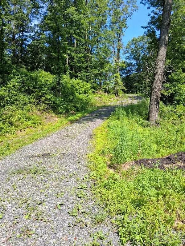 Red Hook, NY 12571,WHALESBACK RD