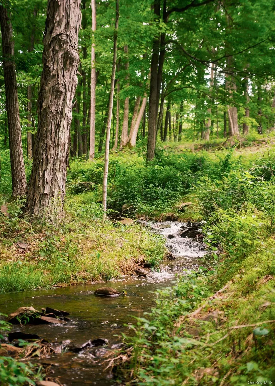 Rhinebeck, NY 12572,141 Ackert Hook RD