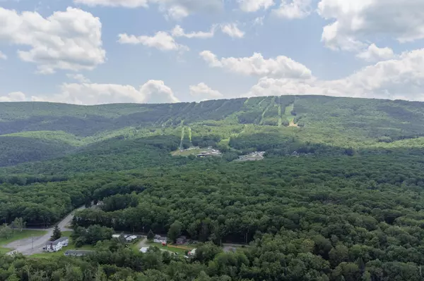 Fleischmanns, NY 12441,265 Tangora CIR