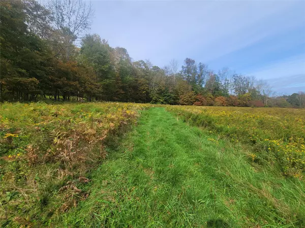 Hurleyville, NY 12747,Mongaup RD