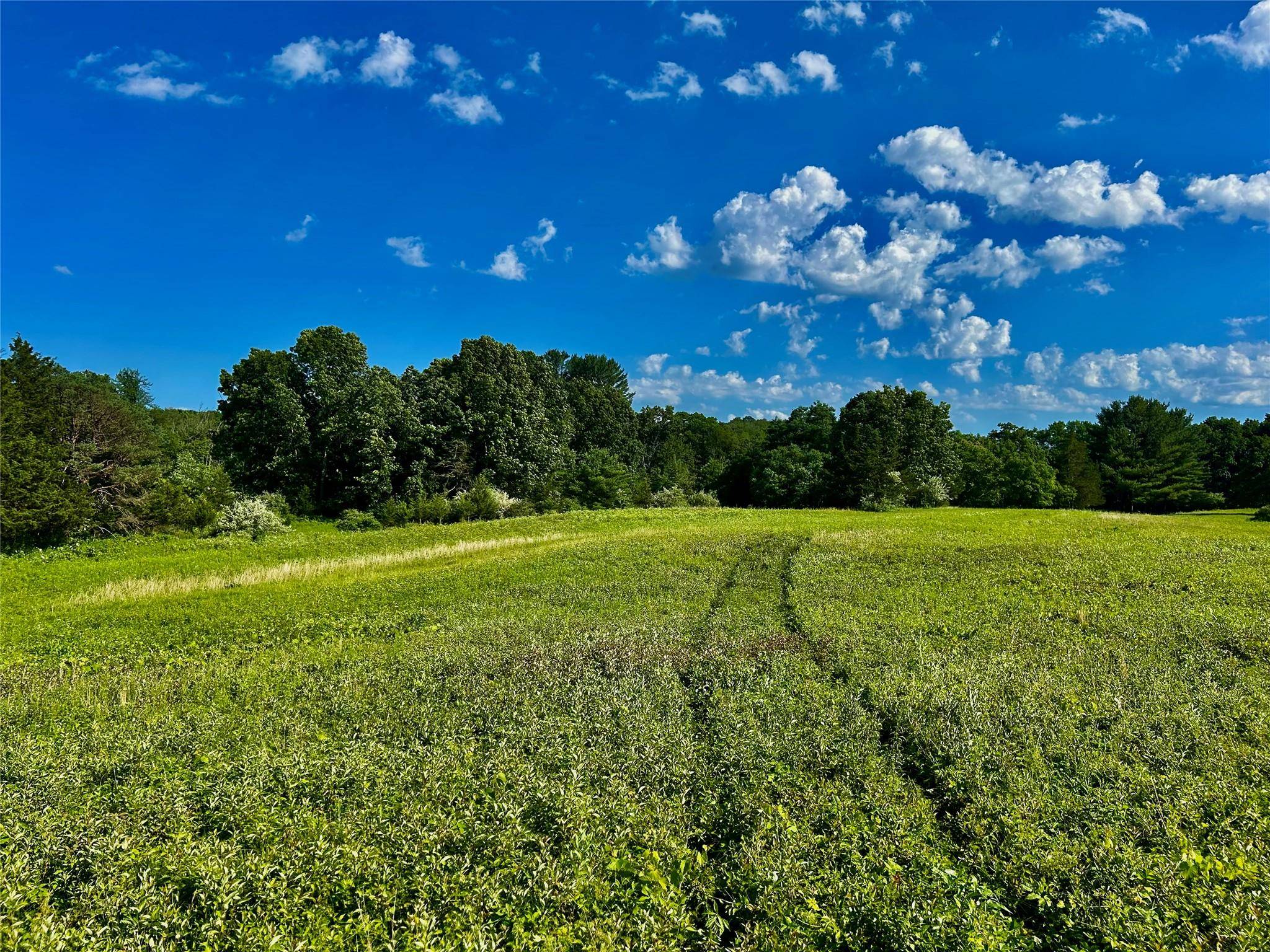 Hudson, NY 12534,Mambert/Water Street RD