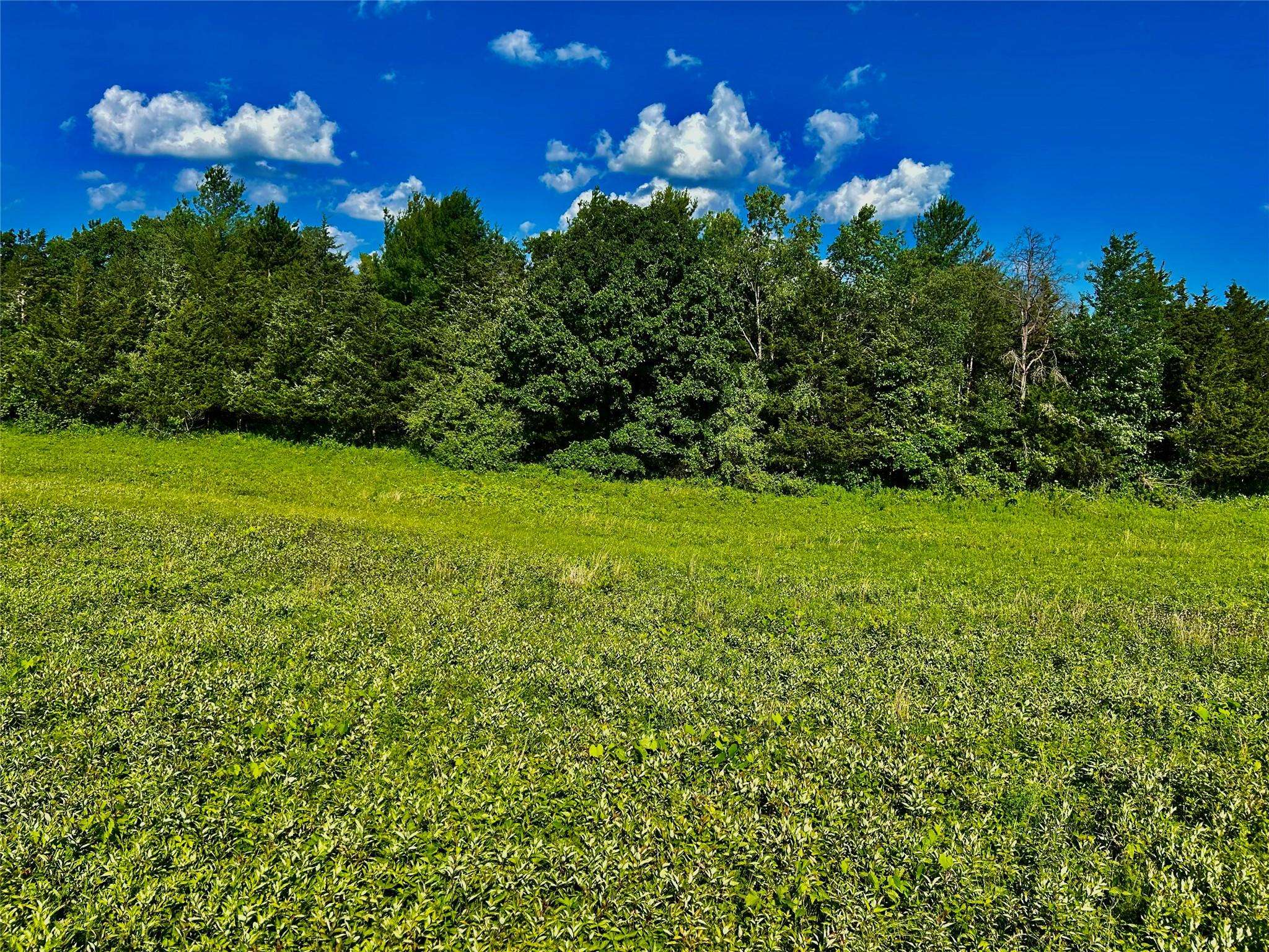 Hudson, NY 12534,Mambert/Water Street RD