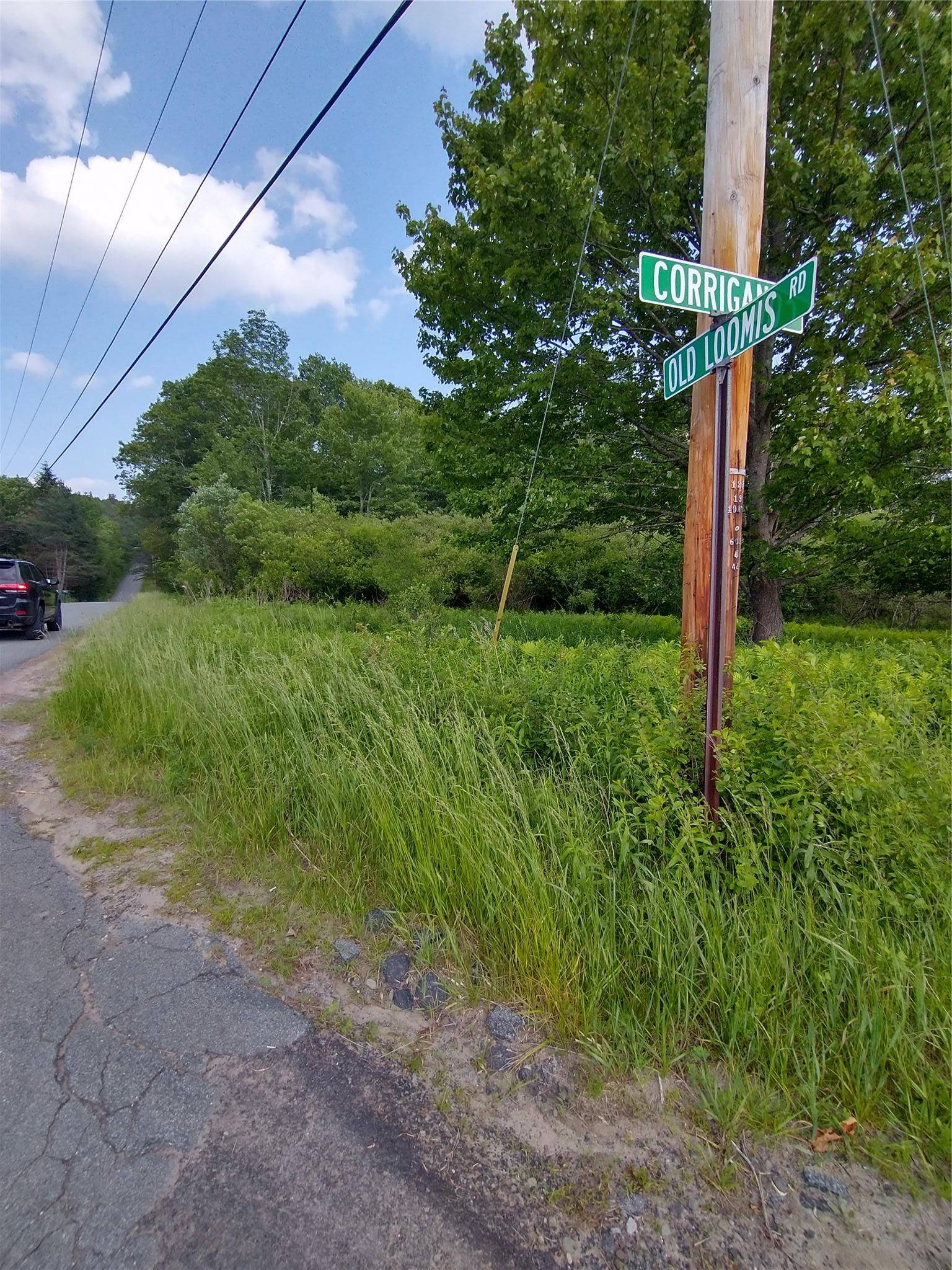 Liberty, NY 12734,Old Loomis RD
