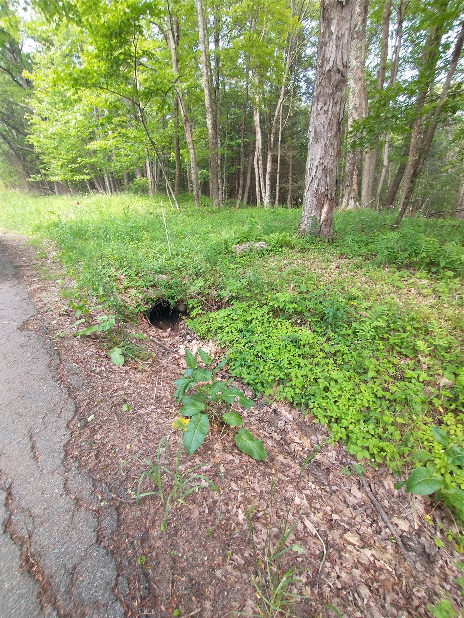 Liberty, NY 12734,Old Loomis RD