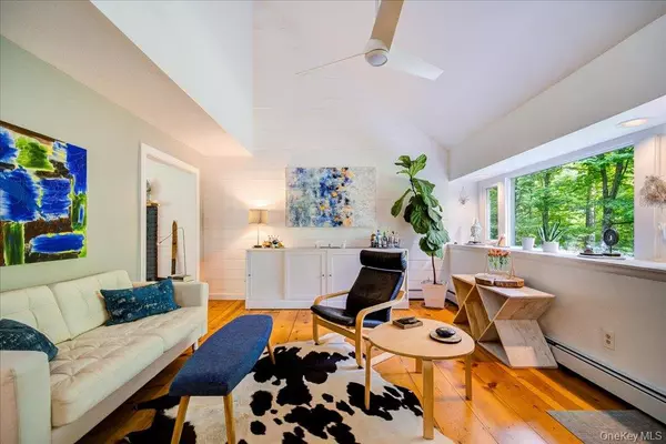 Rhinebeck, NY 12572,11 Cove RD