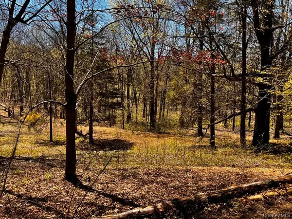 Clinton Corners, NY 12514,1104 Cold Spring RD