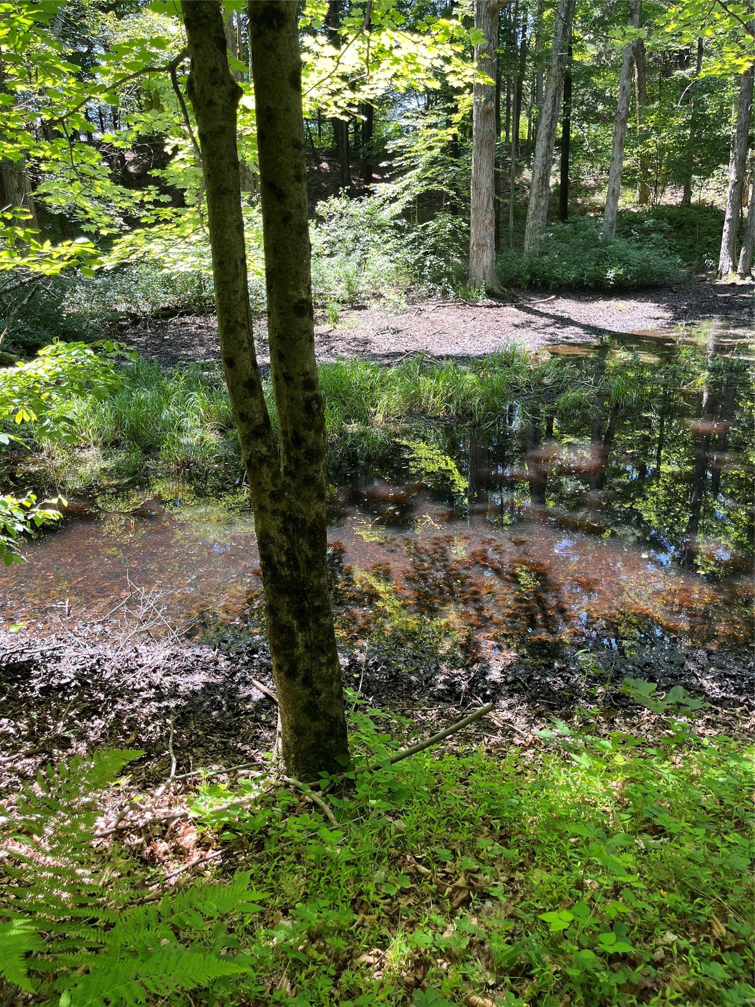 Clinton Corners, NY 12514,1104 Cold Spring RD