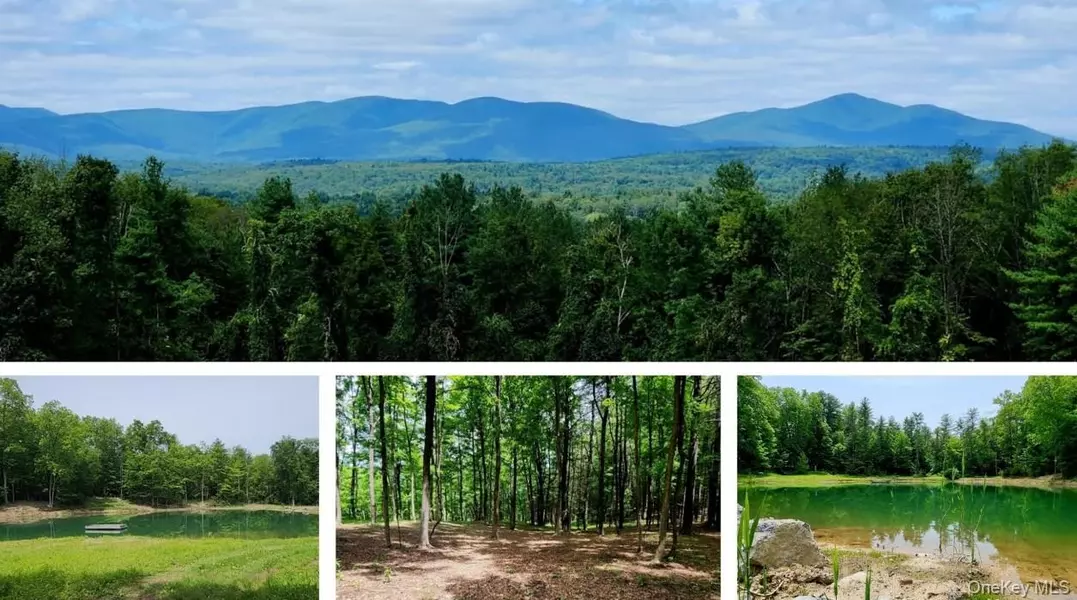 34 Stonykill & Granite RD, Accord, NY 12404