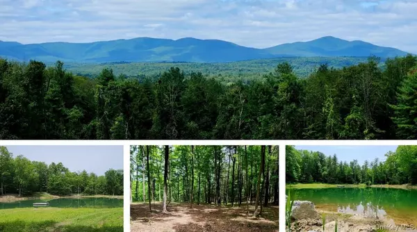 34 Stonykill & Granite RD, Accord, NY 12404