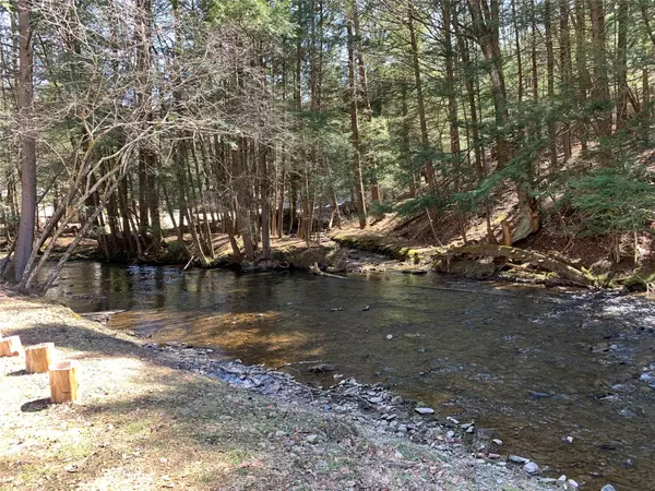 Long Eddy, NY 12760,604 Basket RD