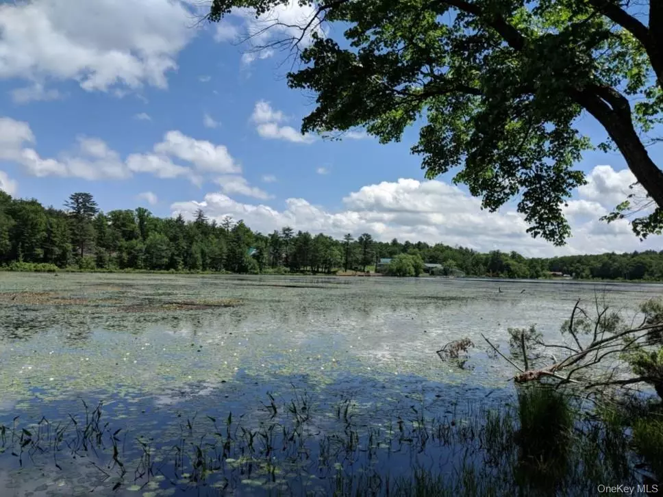 Glen Spey, NY 12737,Lot 9.1 Elle DR