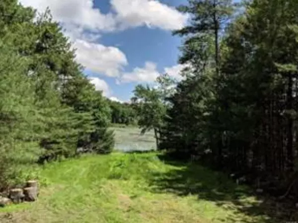 Glen Spey, NY 12737,Lot9.6/7/8/9/10/11/12/13+ Elle DR