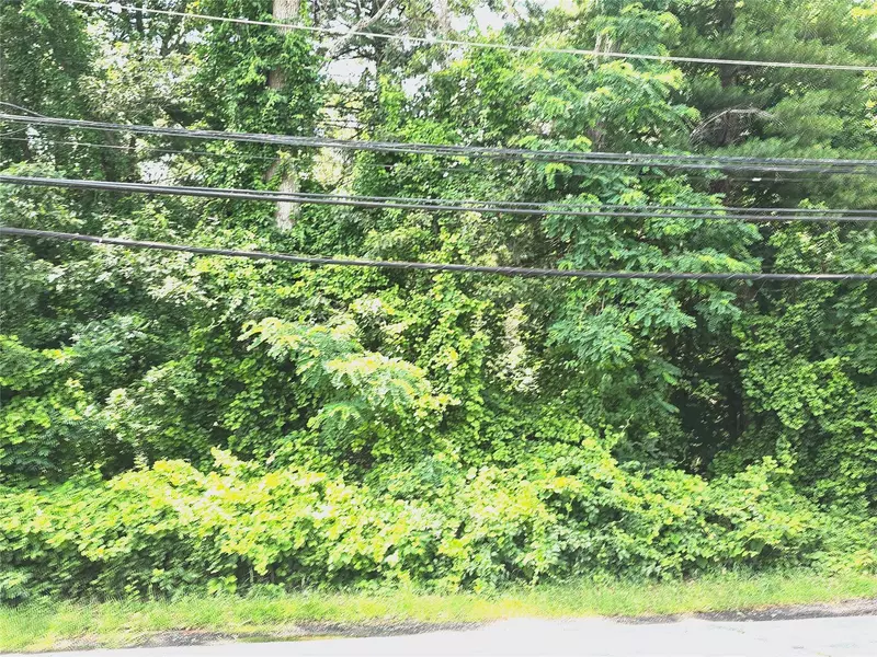 VL Yaphank-Middle Island RD, Yaphank, NY 11980