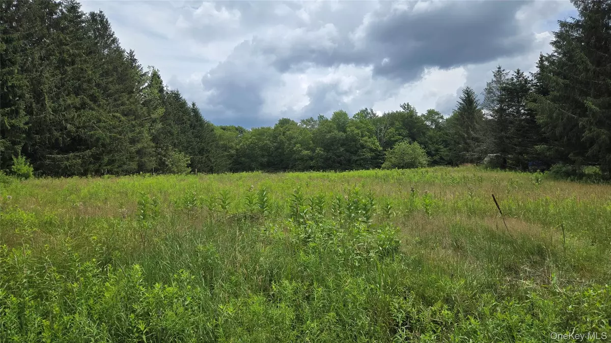 Bethel, NY 12720,Old White Lake TPKE