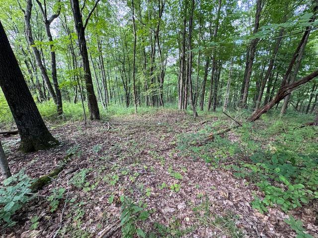 Lagrangeville, NY,Manor Drive W & Arlene Road