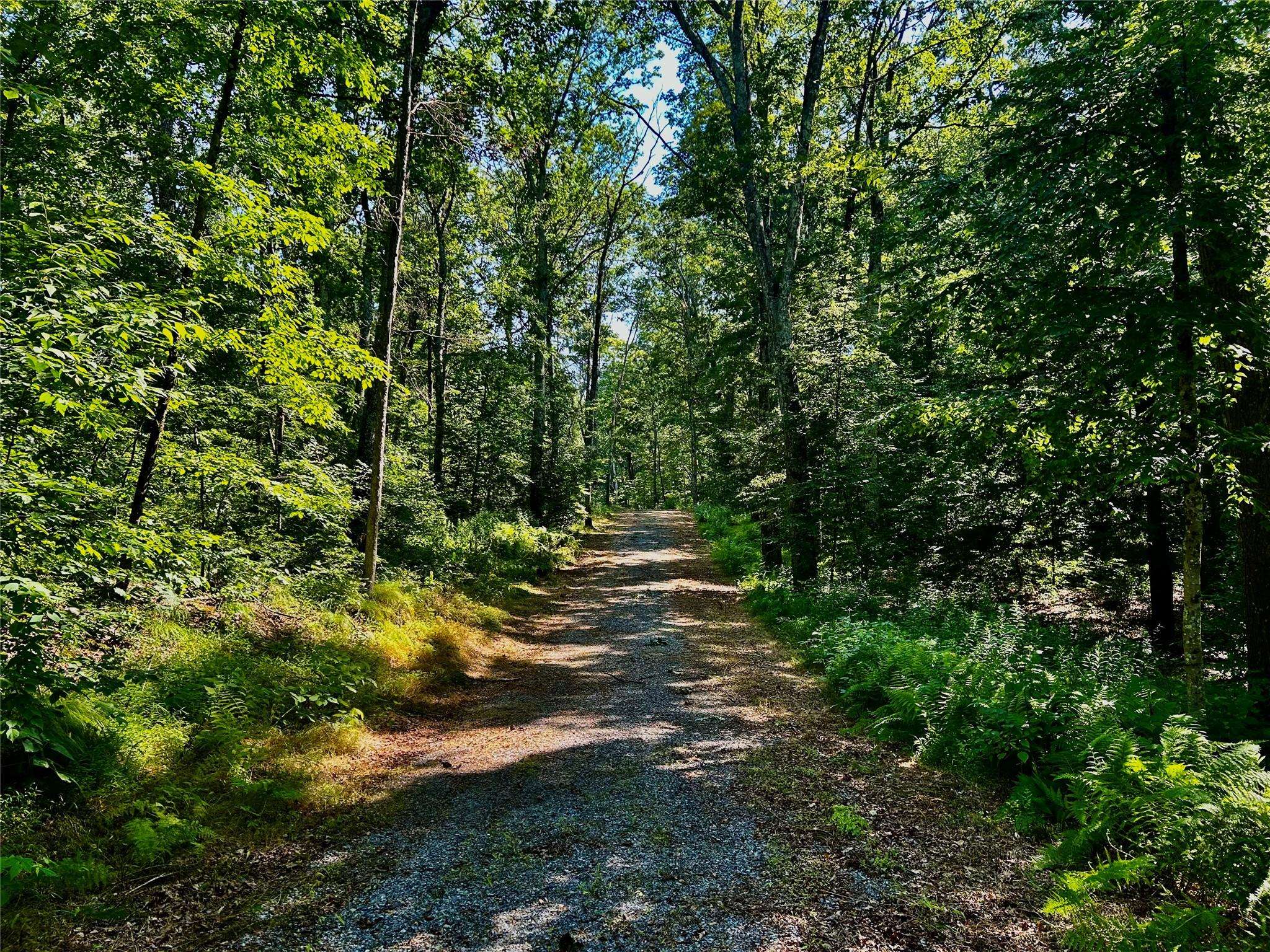 Hyde Park, NY 12538,80 Forever Ivy LN
