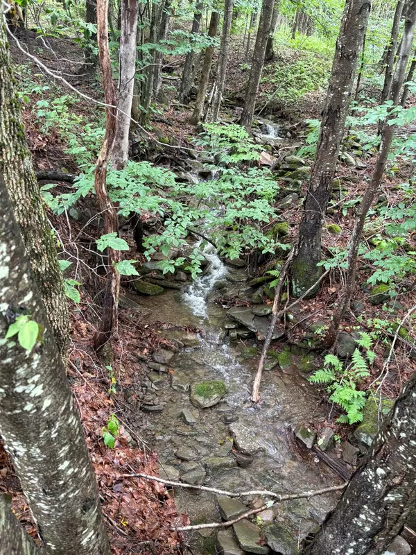 Roscoe, NY 12776,1460 Old Route 17