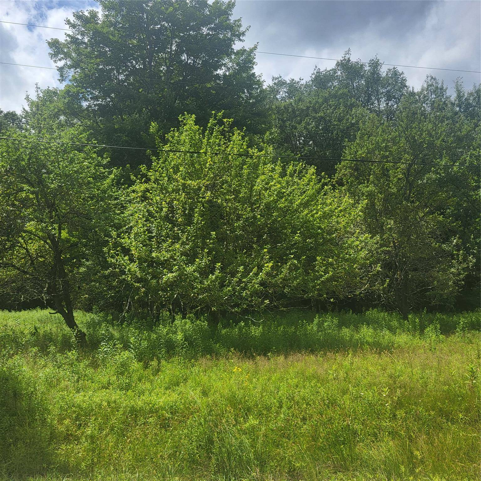 Mongaup Valley, NY 12720,** Creamery RD