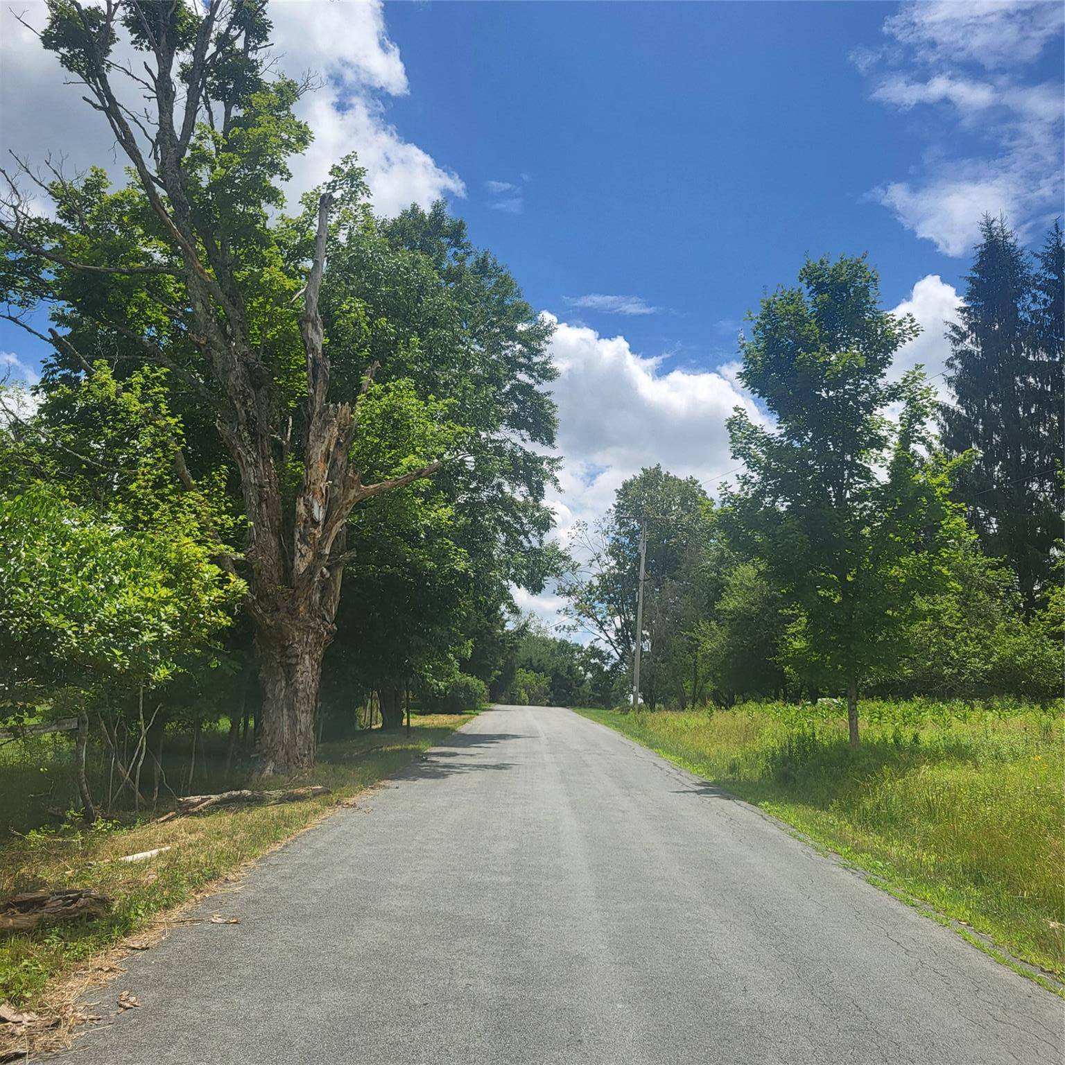 Mongaup Valley, NY 12720,** Creamery RD