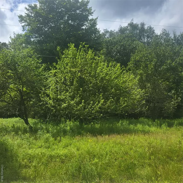 Mongaup Valley, NY 12720,** Creamery RD
