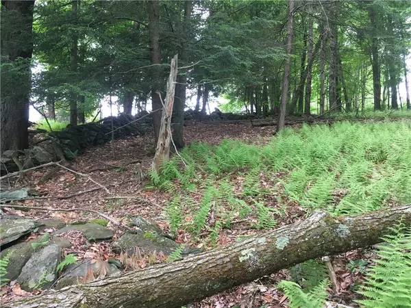 Bethel, NY 12720,10.7 & 10.9 Cty Hwy 141 Horseshoe Lake RD