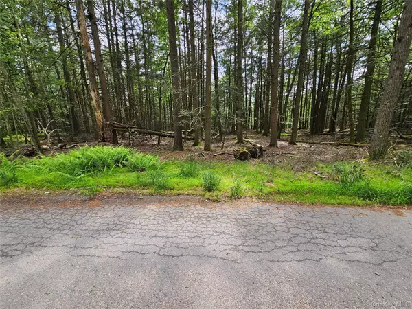 Smallwood, NY 12788,Highland AVE