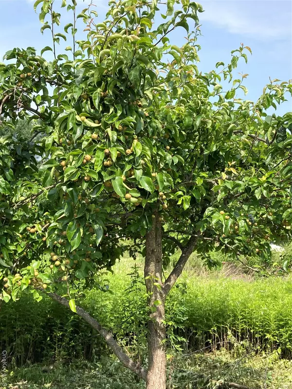 Montgomery, NY 12586,2660 State Route 208 #2660