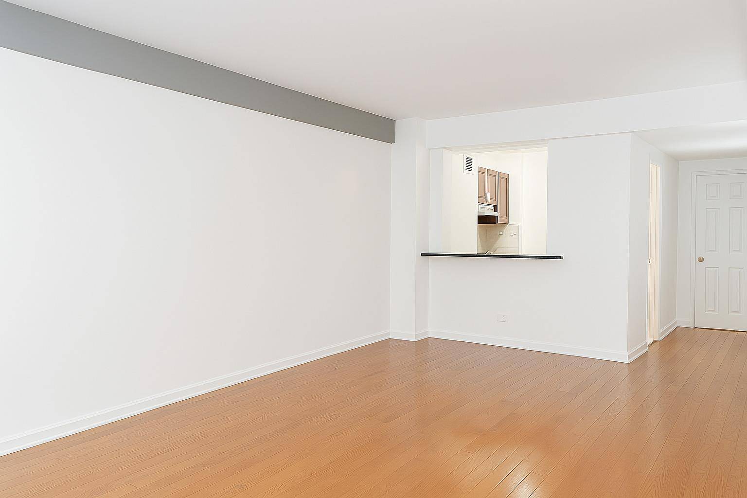New York (manhattan), NY 10017,240 E 46th ST #10H