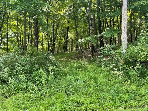 Clinton Corners, NY,0 Fiddler's Bridge/Schoolhouse Rd