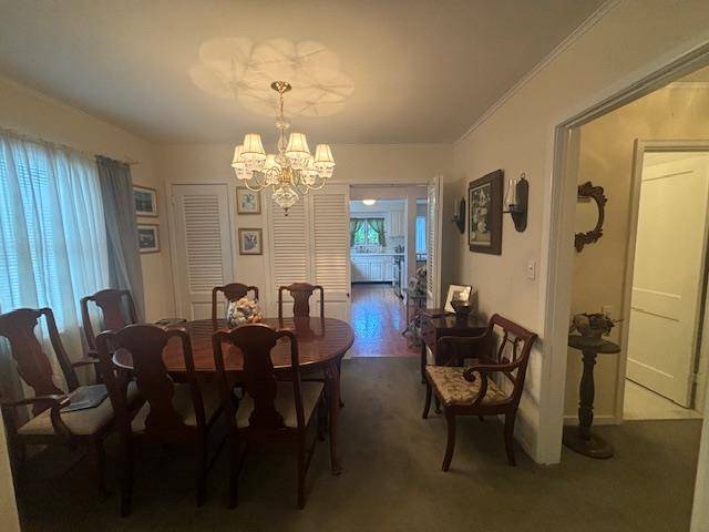 Albertson, NY 11507,89 Hampton AVE