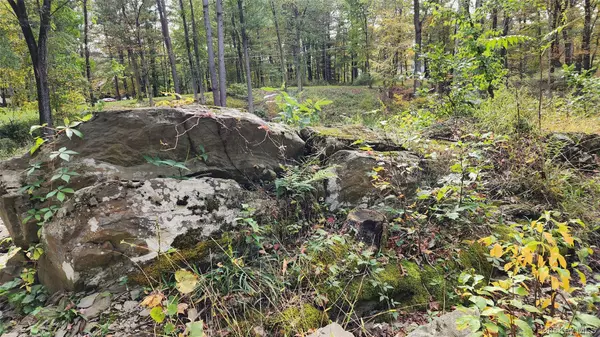 Hyde Park, NY 12538,11 Stoutenburgh DR