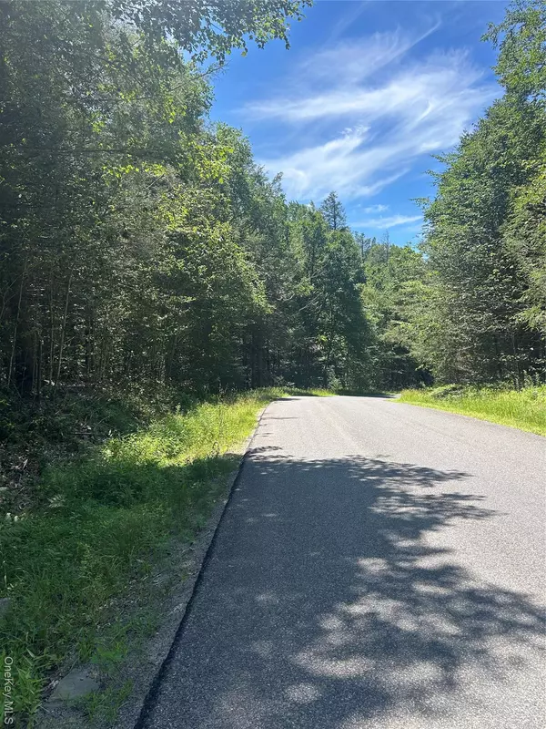 Parksville, NY 12768,TBD Ahrens RD