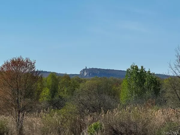 Gardiner, NY,Route 32 S