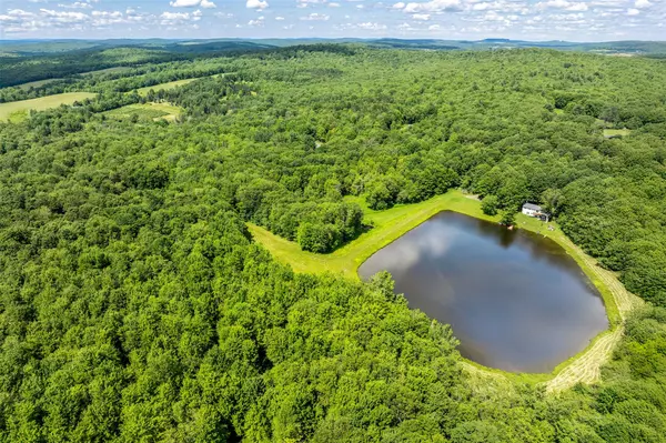 Delhi, NY 13753,361 Warren RD