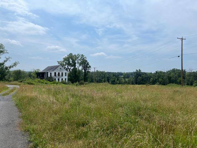 Hudson, NY 12534,31 Pulcher